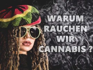 warum-rauchen-wir-cannabis